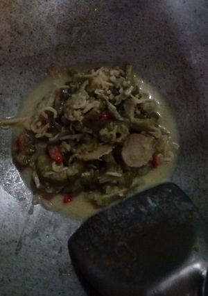 Foto resep Tumis Pare + Teri Tidak Pait