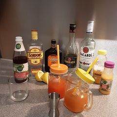 A picture of The Electronic Planters Punch.