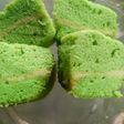 Brownies Pandan Kukus