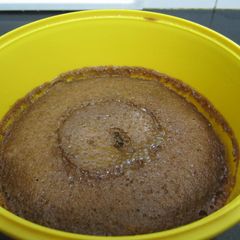 A picture of Eggless Choco-Coffee Cake (Microwave).
