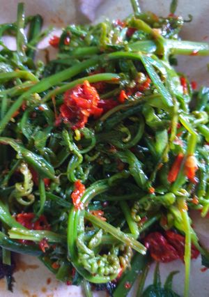 Foto resep Plecing Jukut Paku (Pakis)