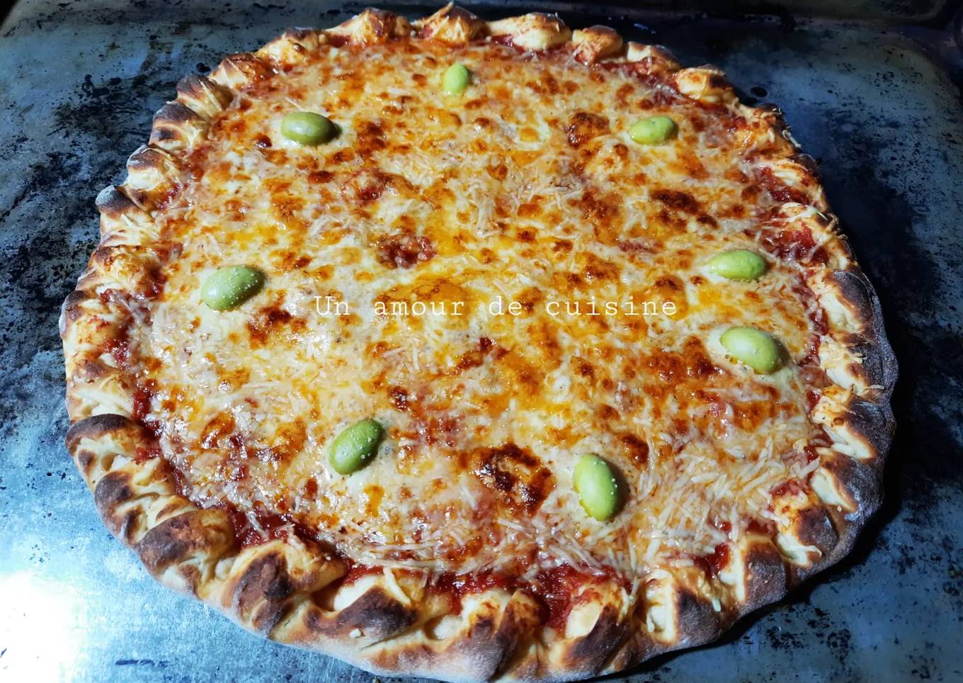 Pizza or cheese 🍕