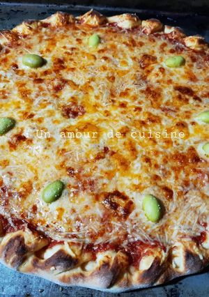 Une photo de Pizza au fromage 🍕