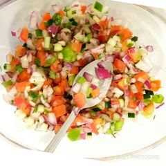 A picture of Salsa.
