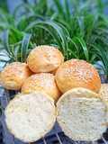 234. Burger Buns