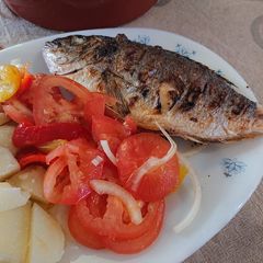 A picture of Grilled Sea Bream.