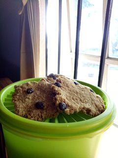 Foto resep Diet Oat Cookies (eggless)