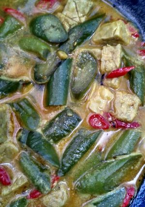 Foto resep Lodeh tempe terong