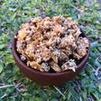Granola casera saludable