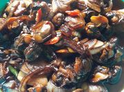 Gambar lokan kicap