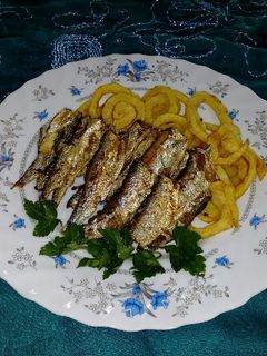 عکسی از دستور ماهی کیلکا