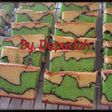 Topomap cake