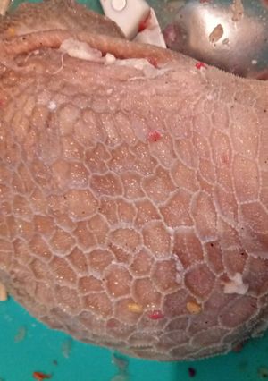 صورة لوصفة العصبانة اكلة جزائرية تقليدية