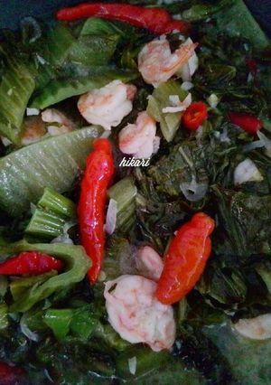 Foto resep Tumis Sawi Asin Udang