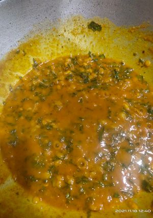 દાલ પાલક નુ શાક (Dal Palak Shak Recipe In Gujarati) રેસીપી મુખ્ય ફોટો