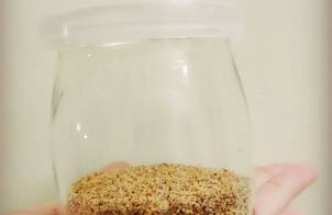 Flaxseeds powder - Bột hạt lanh
