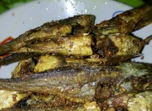 Foto resep Goreng ikan lundu