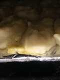 Papitas falsas rellenas con queso al horno con salsa de romero