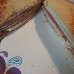 A picture of Toasted Sandwich.