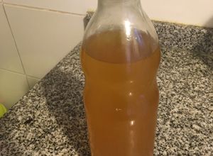 Una foto de Kéfir de agua