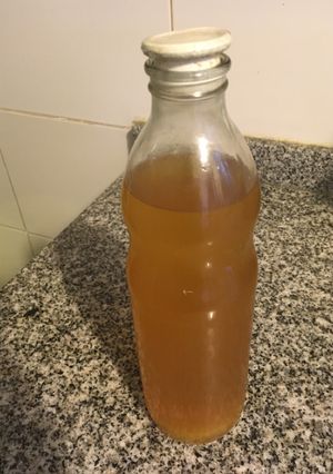 Una foto de Kéfir de agua