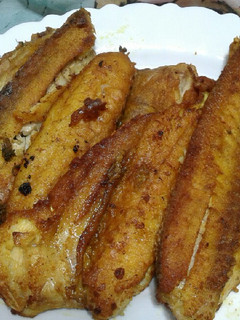عکسی از دستور ماهی شوریده