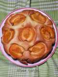 Torta di Albicocche Stampo da 18 cm