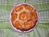 Torta di Albicocche Stampo da 18 cm