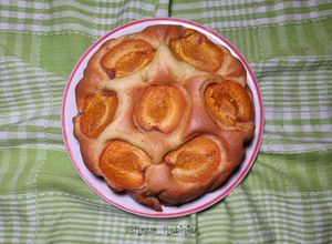 Foto di Torta di Albicocche Stampo da 18 cm