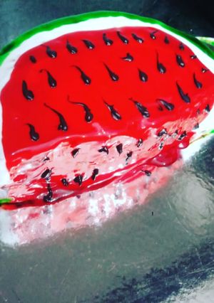 A picture of Watermelon cake.