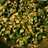 Masala bhindi