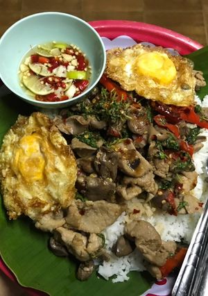 รูปของ กะเพรารวม ถาดยักษ์