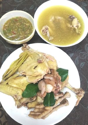 รูปของ ไก่เมืองต้มน้ำปลา