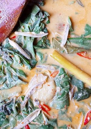 Foto resep Gulai pucuk ubi jengkol teri