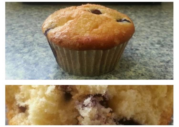 Blueberry Muffin super lembut - anti gagal
