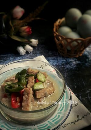 Foto resep Tempe Masak Santan