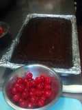 Selva negra