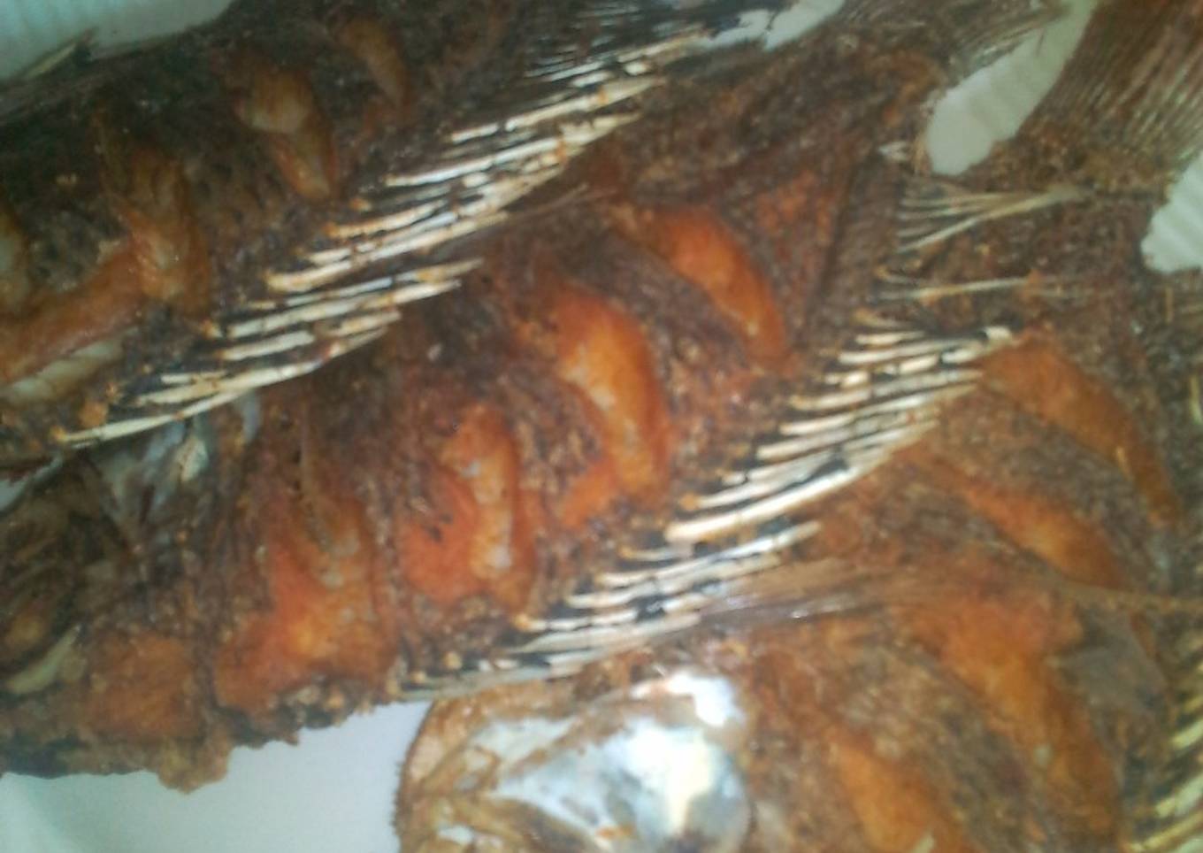 Fried fish