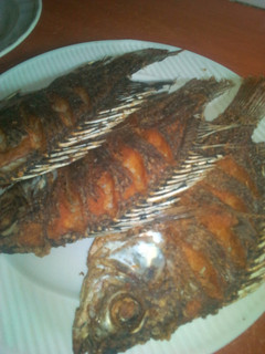 A picture of Fried fish.