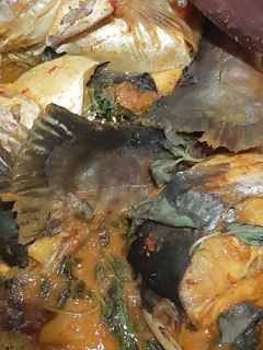 Foto resep Brengkes patin pedas tanpa daun pisang