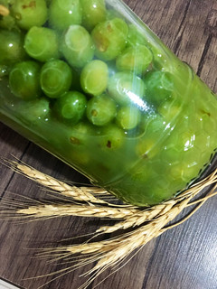 عکسی از دستور کنسرو غوره غوره آتنا بانو