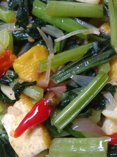 Foto resep Tumis sawi hijau tahu