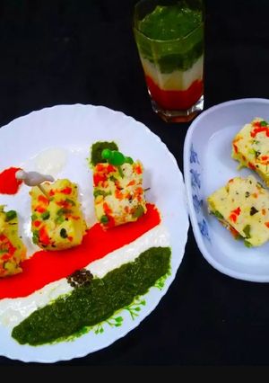 A picture of Vegetable Chhena Platter.