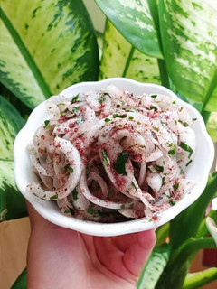 عکسی از دستور سالاد کباب گرجستان👌😉
