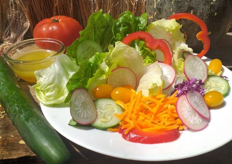 Veg Salad w/ Olive Oil-Lemon & Garlic Dressing