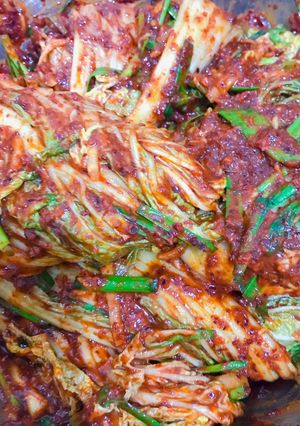 Foto resep Kimchi (Easy)