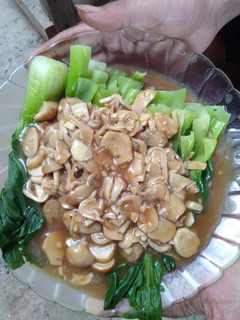 Foto resep Pokcoy saus jamur