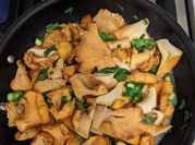 A picture of chanterelle mushrooms