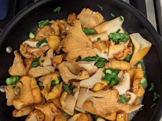 Autumn Chanterelles