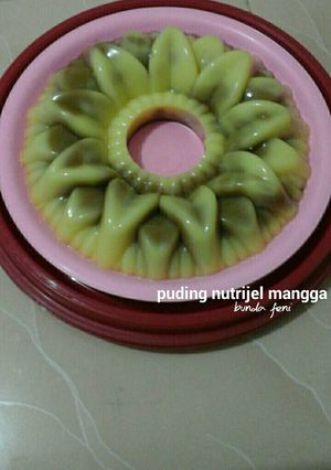 Foto resep Puding nutrijel mangga
